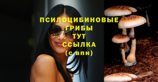 стафф Медвежьегорск