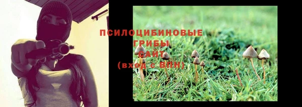 винт Мегион