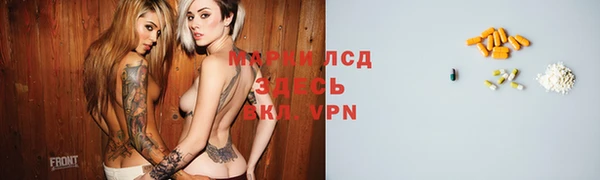 стафф Медвежьегорск