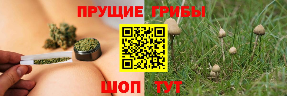 купить  цена  Галлюциногенные грибы Psilocybe  Вход с VPN  Ульяновск 