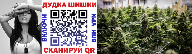 Шишки марихуана SATIVA & INDICA  сколько стоит  Ульяновск 